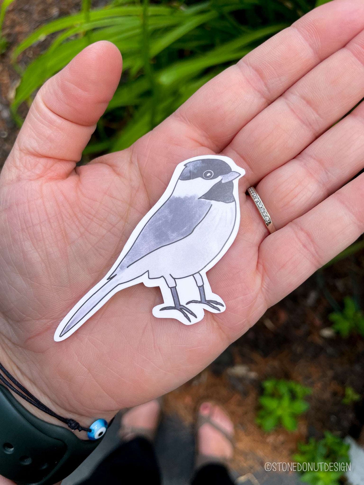 Black-Capped Chickadee Vinyl Sticker