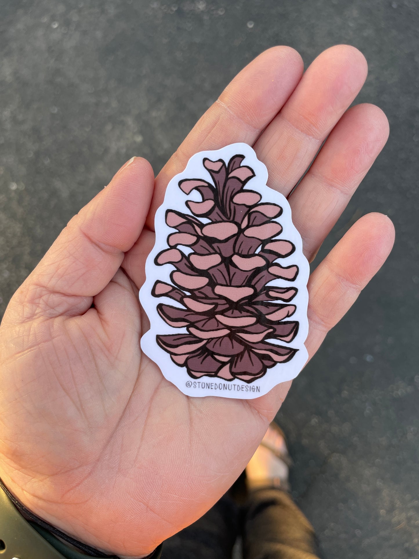 Pinecone Vinyl Sticker