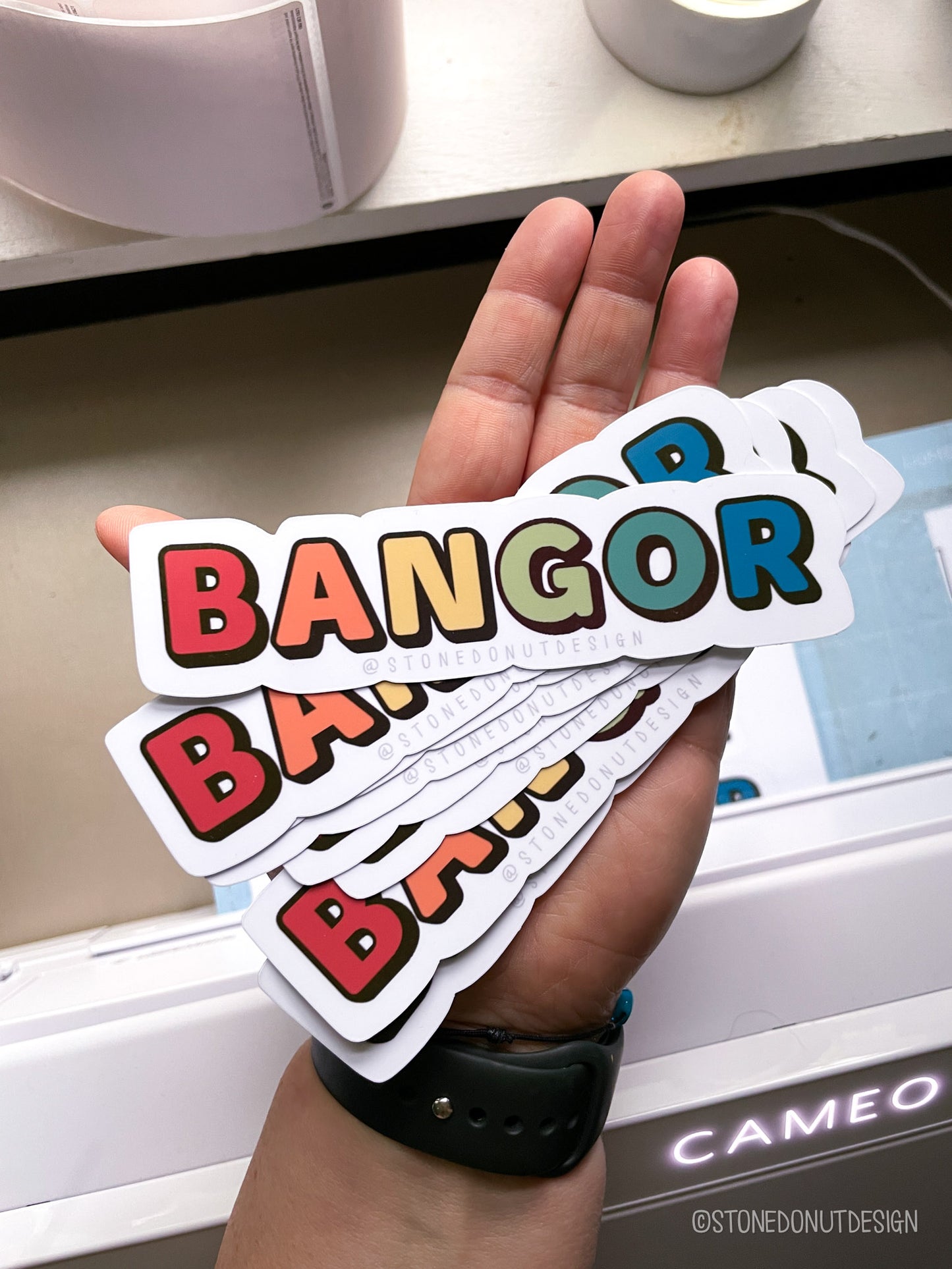 Bangor Pride Vinyl Sticker
