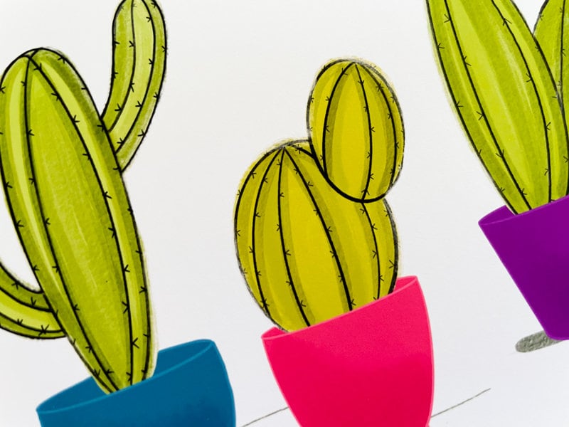 Cactus Greeting Card, Hand Drawn Desert Illustration by StoneDonut Design